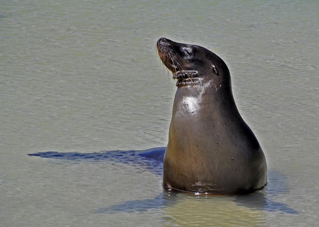 Bed and Breakfast Galapagos Eco Friendly Puerto Baquerizo Moreno Zewnętrze zdjęcie